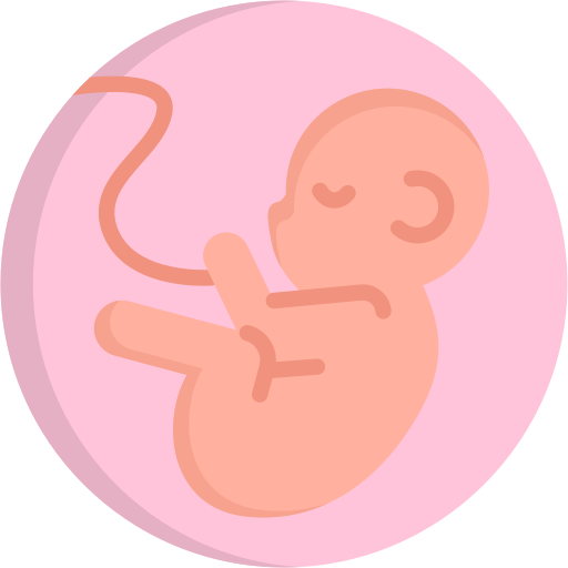 Ícone Obstetrícia